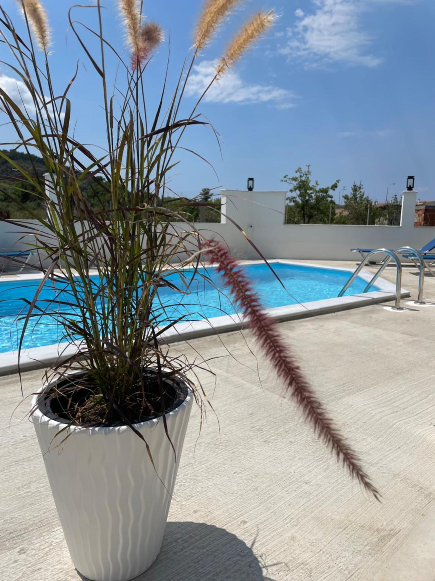 Green Memories Skala Sotiros Exterior foto